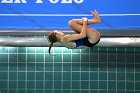 Diving vs USCGA  Wheaton College Swimming & Diving vs US Coast Guard Academy. - Photo By: KEITH NORDSTROM : Wheaton, Swimming, Diving